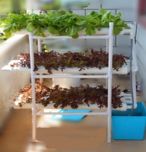 Système hydroponique NFT à trois étages Searea à vendre, système hydroponique de culture à 108 trous - Product Image 2