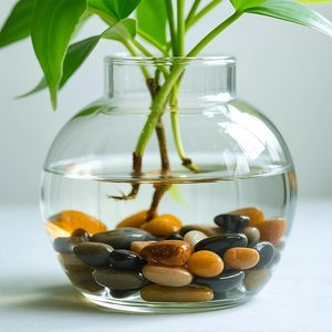 Ciottoli Gialli Altamente Lucidati, Pietre da 2-3 cm, Ciottoli di <span class=keywords><strong>Fiume</strong></span> per Giardino e Piante in Vaso dalla Fabbrica di Nanjing a Buon Prezzo - Product Image 6