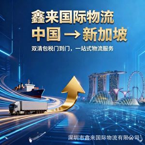 Ligne de logistique internationale Xinlai Chine-Philippines, fret transfrontalier aérien et maritime LCL, service de dédouanement - Product Image 4