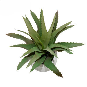 <span class=keywords><strong>Planta</strong></span> suculenta <span class=keywords><strong>grande</strong></span> artificial <span class=keywords><strong>aloe</strong></span> <span class=keywords><strong>vera</strong></span> en maceta hojas falsas - Product Image 1