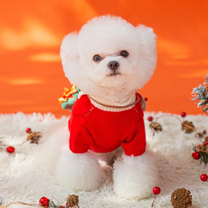 Dễ thương Lễ Hội Hiện Đại Vật nuôi Áo len với giáng sinh mô hình ấm áp cho vật nuôi 'kỳ nghỉ họp mặt & trong nhà lễ kỷ niệm phong <span class=keywords><strong>c</strong></span>ách trang trí - Product Image 5