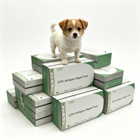 Kit de test rapide 4-en-1 (CPV-CCV-GIA-CRV) pour la détection des maladies canines (Parvo/Corona) – Vente en gros usine