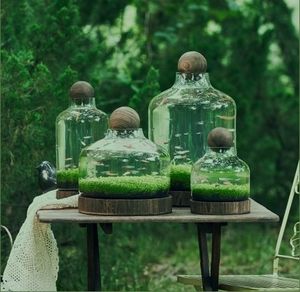 hausgemachte desktop-dekoration glas terrarium für glas und holz pflanzen terrarium mit holzsockel & kugel - Product Image 1