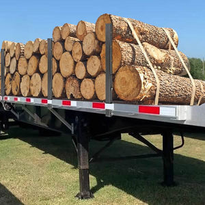 Nhà Máy Bán buôn Heavy Duty 30 "54" Thép ống có thể điều chỉnh cổ phần phẳng Trailer Hauler thiết bị an toàn hàng hóa điều khiển cho hộp - Product Image 4