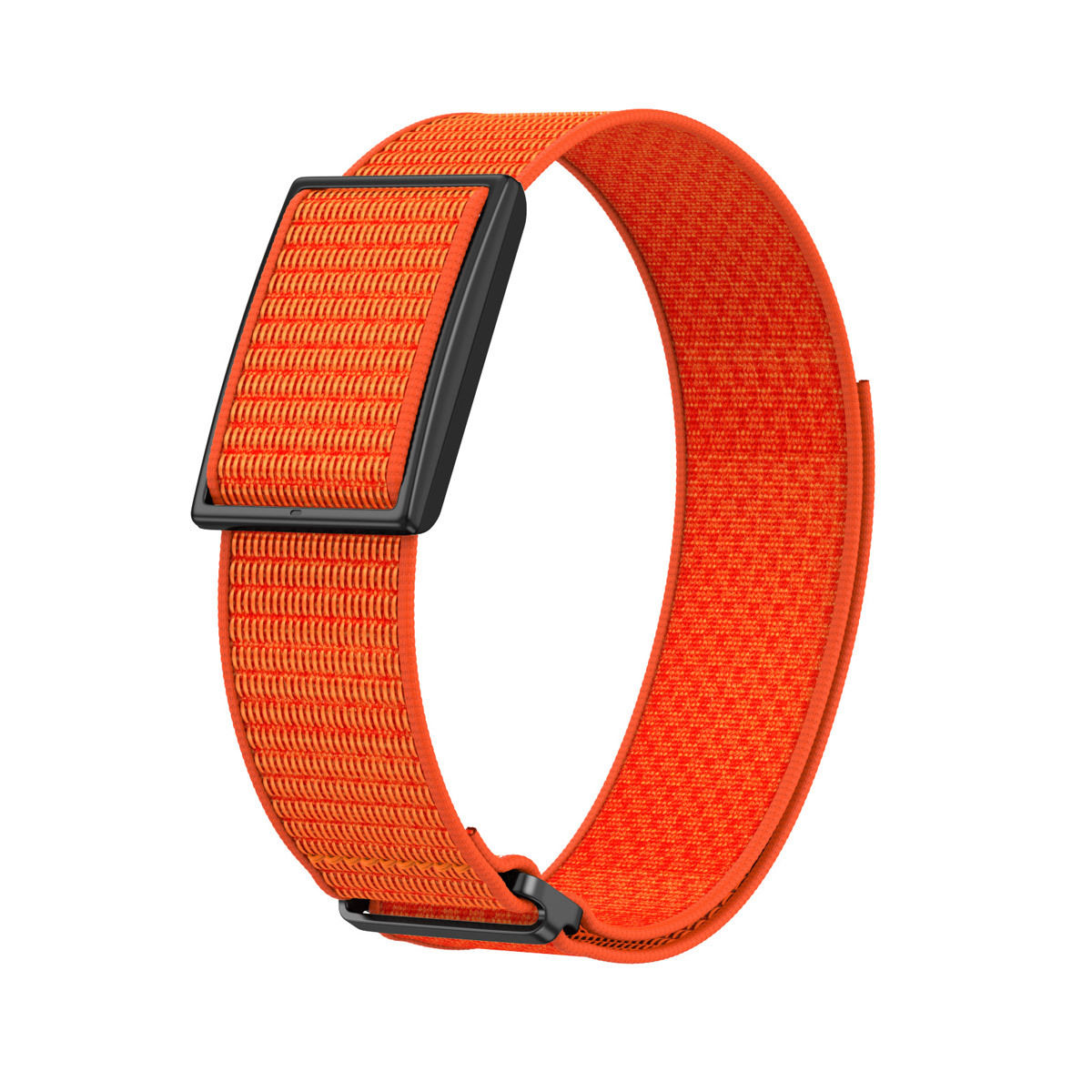 Orange - Boucle noire