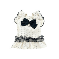Robe en dentelle à pois style princesse pour petits chiens, vêtements d'été fins et respirants pour chiens Teddy