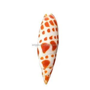 Wholesale Ornament Small Red Snail Handicrafts Gift Ornaments Koi Snail Natural Sea Snail Shells
