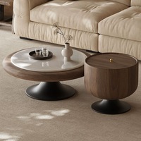 Ensemble de table basse ronde en bois et marbre de luxe moderne avec rangement, meubles de salon, design esthétique, élégant et unique