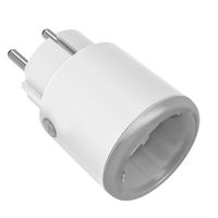 Tuya Matter 16A prise intelligente Standard ue matériau ABS maison électrique WIFI télécommande Mini automatisation intelligente