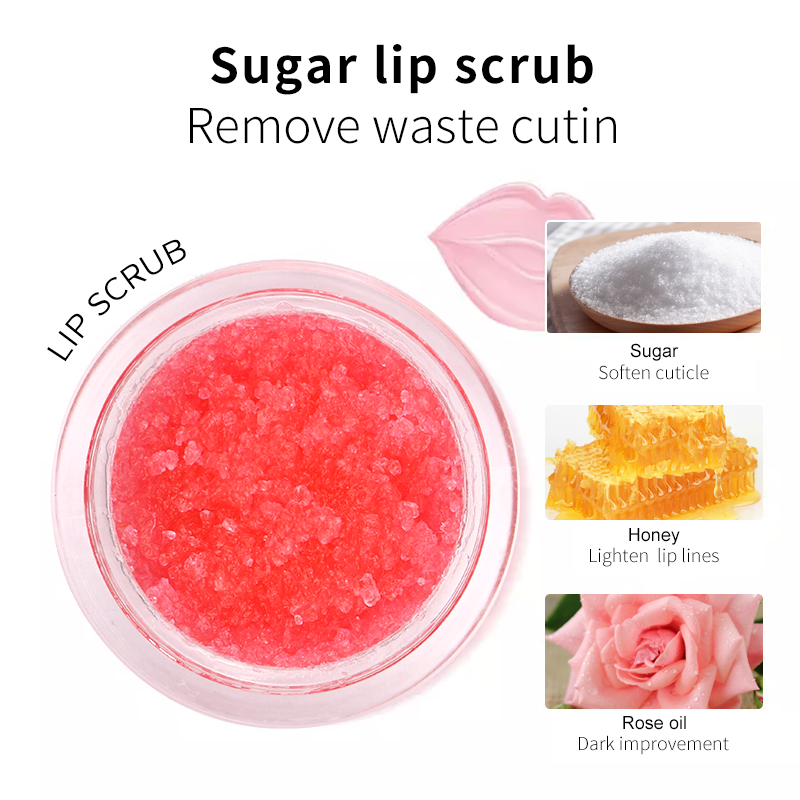 Private label lips scrub OHMG Lash Factory