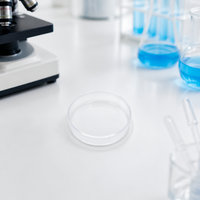 Plaques de Petri en verre borosilicate transparent OEM, plates et rondes, pour la culture tissulaire en laboratoire et à usage médical
