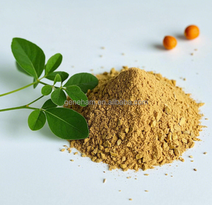 Polvo de extracto de semilla de fenogreco orgánico para alimentos, regulación de azúcar en sangre Natural, potenciador de masa muscular, suplementos herbales dietéticos, tambor - Product Image 1