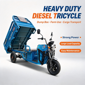Triciclo con Cabina y Motor de 1000W para Granja, Transporte de Pasajeros, Uso Pesado, Cerrado, para Adultos, Gran Oferta 2026 - Product Image 3