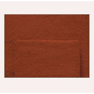 SOLID LINE - Toalla de Invitados 40X60CM Color Ladrillo - Product Image 1