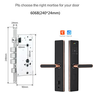 מחיר המפעל אבטחה ידית אחיזה דיגיטלית cerraduras inteligentes wifi מפתחות טביעות אצבע מנעול דלת חכם לדירה - Product Image 5