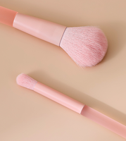 Pinceau correcteur pour le visage, portable, 6 pièces, boîte pour animaux de compagnie, yeux, haute valeur esthétique, cœur de fille, transparent, rose, fond plat, détail halo, teinture