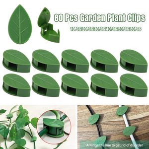 <span class=keywords><strong>Plante</strong></span> Escalade <span class=keywords><strong>Mur</strong></span> Fixation Rotin Vigne <span class=keywords><strong>Support</strong></span> Fixe Boucle Feuille Clips Traction Titulaire - Product Image 6