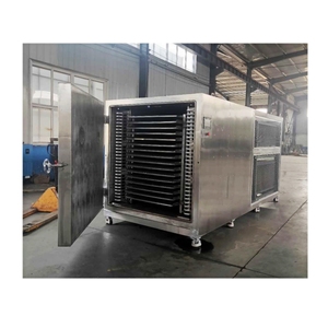 Machine de lyophilisation domestique avec pompe sans huile pour le séchage de la poudre de café et des bonbons aux Philippines - Product Image 4