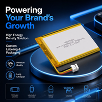 Batterie au lithium polymère rechargeable personnalisée 3,7 V 7500 mAh, batterie LiPo haute densité pour alimentation portable en extérieur