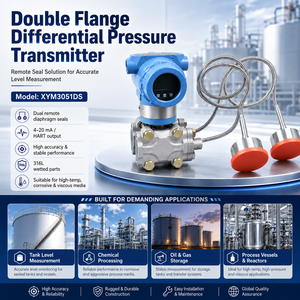 OEM Doppelflansch-Membran-Differenzdrucktransmitter mit Fernversiegelung 4-20mA HART für Flüssigkeitsstand - Product Image 1