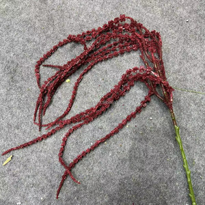 H253 Fiori Artificiali Pendenti all'Ingrosso, Simili a Lacrime d'Amore, Erba della Barba del Drago e Decorazioni Morbide per Matrimoni - Product Image 5
