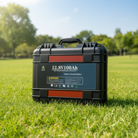 Batterie de stockage solaire LiFePO4 rechargeable personnalisée 12V-48V 50-300Ah avec sortie AC 110V/220V, 6000 cycles, pour camping-car, marine ou voiturette de golf