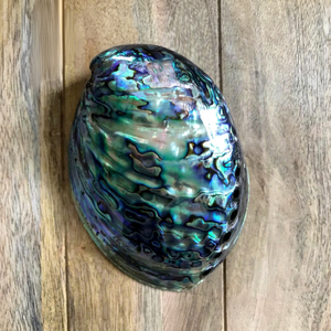 Handmade Natural <b>Abalone</b> <b>Shell</b> Polished Decorative Seashell for DIY Jewelry Craft Wholesale Vietnam Export Supplier - Product Image 1