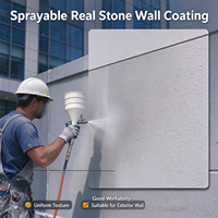 Peinture à base d'eau pour pierre naturelle, texture granit, revêtement mural extérieur, peinture pour façade de bâtiment résistante aux intempéries