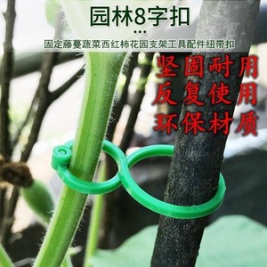 Garden Figure 8 <b>Clip</b> Plastic Plant Support <b>Frame</b> For Climbing Vines And Stems Gardening Tool - Product Image 2