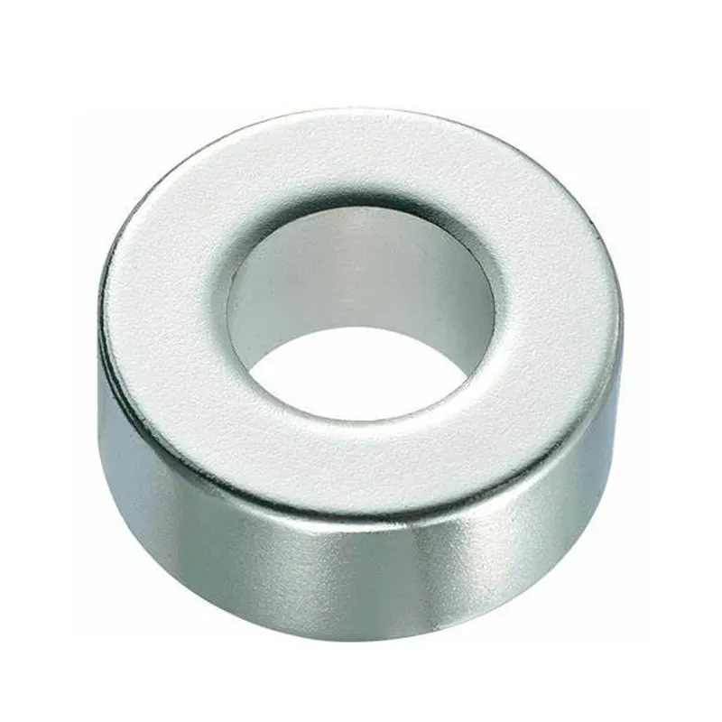 Big Size Neodymium Magnet Ring Heavy Duty Round Magnets With Hole For Industrial