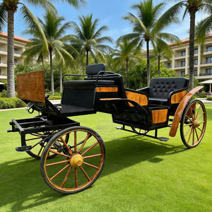 Carruaje Real de Caballos, Carruaje de Lujo para Bodas, Alquiler de Carruaje de Caballos Estilo Cenicienta para Celebraciones en Parques - Product Image 3