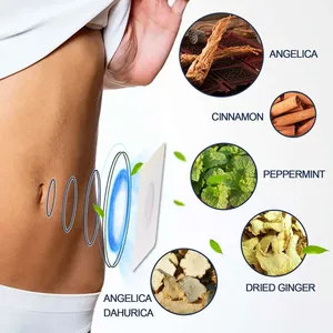 New bán buôn 5 pcs gói táo bón vá giảm độc tố táo bón cứu trợ Pad cho chăm sóc cơ thể - Product Image 5