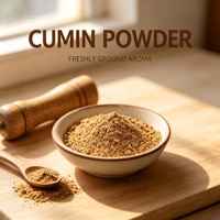 Poudre de cumin naturelle de qualité supérieure pour assaisonnement de curry et barbecue
