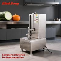 BlinkSong Commerciële Elektrische Fruit- en Groenteschilmachine van RVS, Automatisch, voor Restaurant en Voedselverwerking