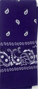 Cache-cou multifonctionnel personnalisé en microfibre de polyester, masque facial, écharpe, bandana, design personnalisé - Product Image 5