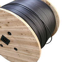 Cable de fibra óptica para exteriores, Cable blindado de 4, 6, 8 y 12 núcleos, Gyxtw, fabricante de Cable de fibra óptica