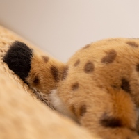 Peluche Lynx unisexe, jouet classique polyvalent pour garçons et filles, décoration de chambre