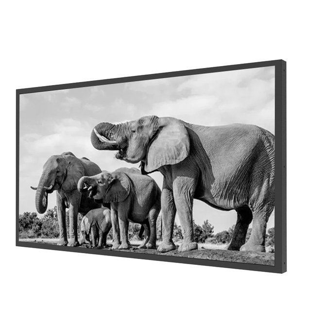 VETO 23.5-31.2 Inches Android Wall Mounted E Ink Display Black White Digital Signage Picture Advertising Screen E Paper Display