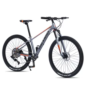 Bicicleta de Montaña de carbono para adultos, bici de montaña de carretera, radios y Llanta s, limitada