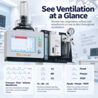Appareil d'anesthésie gazeuse vétérinaire OliveVet pour usage clinique, distributeur et fournisseur de ventilateurs respiratoires