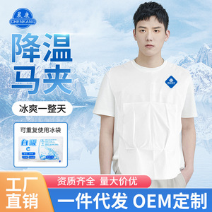 <b>Cooling</b> Vest With Ice Packs For Outdoor Heatstroke Prevention Breathable Polyester Hike Use - Product Image 4