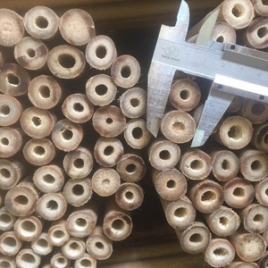 Postes de Bambú para Agricultura/Estacas de Bambú Diám. 16-18 mm X 150 cm - Product Image 3