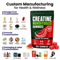 Gummies de créatine monohydrate OEM 5000mg – Complément pré-entraînement saveur pastèque pour la gym