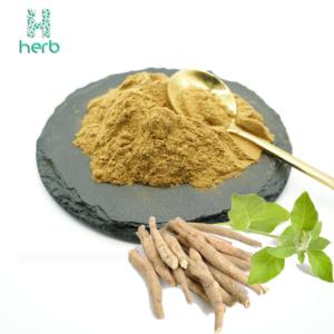 Toptan 2.5% 5% Withanolides organik Withania Somnifera Ashwagandha kök ekstresi tozu - Product Image 1