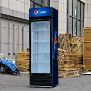 Congélateur vertical avec écran numérique, refroidisseur de boissons à compresseur, ventilateur de refroidissement, réfrigérateur pour boissons gazeuses - Product Image 3