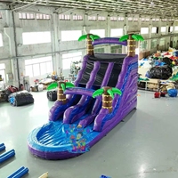 Toboggan aquatique gonflable de qualité commerciale Tropical Waves avec certification CE, capacité de 500 à 1000 kg, installation facile