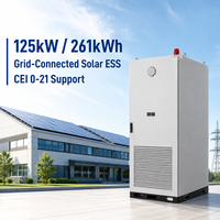 Armoire de stockage d'énergie tout-en-un à refroidissement liquide 125 kW 261 kWh LiFePO4 hors réseau C&I CE CEI 0-21 pour les installateurs solaires photovoltaïques européens