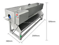 Commerciële Automatische Witte Radijs Wortel Groente Peeling Machine Komkommer Huid Verwijderen Machine Raap Dunschiller