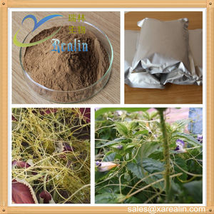 Puur Natuurlijk Sperma Cuscutae <span class=keywords><strong>Extract</strong></span> China <span class=keywords><strong>Dodder</strong></span> <span class=keywords><strong>Extract</strong></span> 20:1 <span class=keywords><strong>Dodder</strong></span> Zaad <span class=keywords><strong>Extract</strong></span> Poeder - Product Image 4