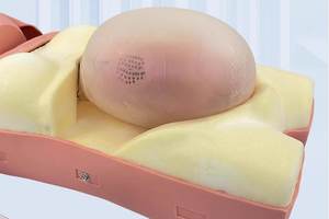 Modelo de Examen de Maternidad para Entrenamiento Médico, Modelo de Examen de Mujeres Embarazadas para Enseñanza - Product Image 3